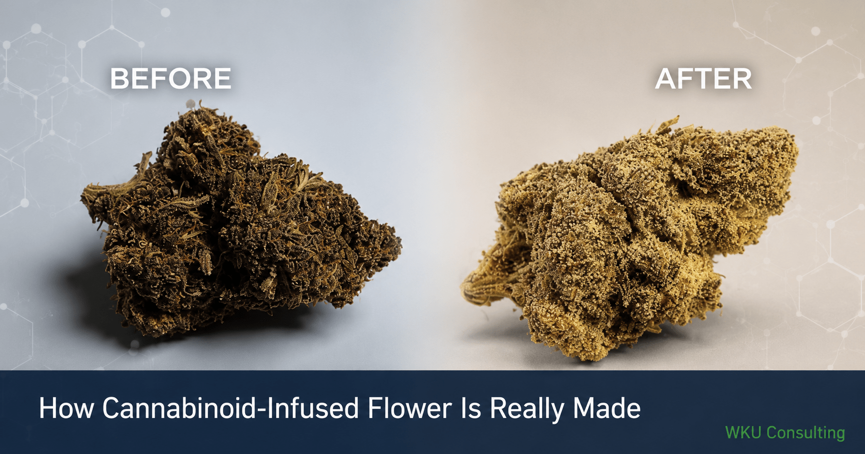 How cannabinoid-infused flower is really made: before and after comparison showing powder matrix infusion results